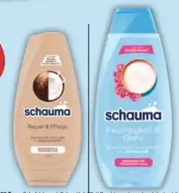 E-Center Schwarzkopf Schauma Shampoo Angebot