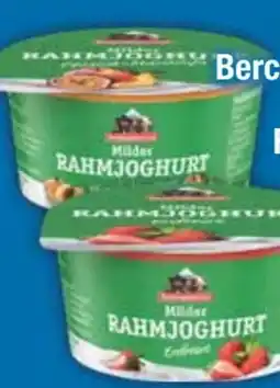 E-Center Berchtesgadener Land Milder Rahmjoghurt Angebot