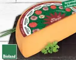 E-Center Andechser Natur Bio Bergkäse Angebot
