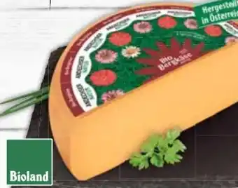 E-Center Andechser Natur Bio Bergkäse Angebot