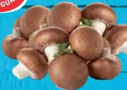 E-Center Gut & Günstig Champignons Angebot