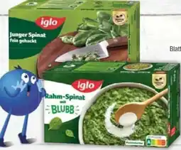 E-Center Iglo Junger Spinat Angebot