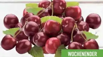 E-Center Kirschen Angebot