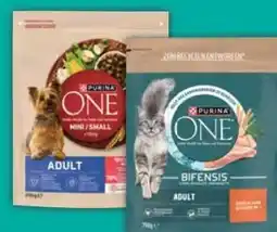 E-Center Purina One Katzennahrung Angebot