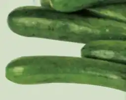 Edeka Xpress Zucchini Angebot