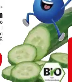 Edeka Bio-Gurke Angebot