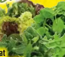 Edeka Edeka Bio Salate Angebot