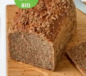 tegut Herzberger Bäckerei Bio-Karottenbrot Angebot
