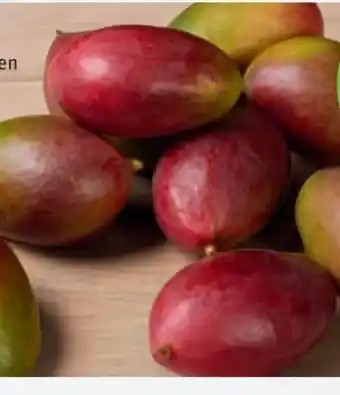 tegut Bio-Mango Angebot