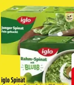 Edeka Iglo Junger Spinat Angebot