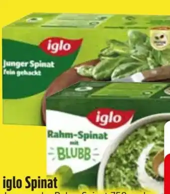 Edeka Iglo Junger Spinat Angebot