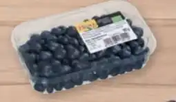 tegut Bio-Heidelbeeren Angebot