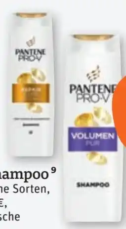 tegut Pantene Pro-V Shampoo Angebot