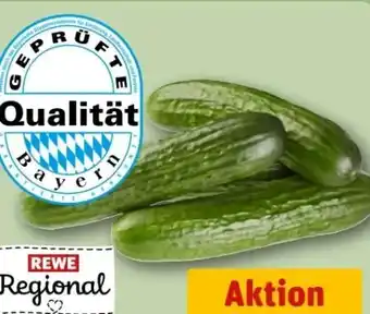 REWE Center Rewe Regional Mini Gurken Angebot