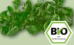 REWE Center Rewe Bio Feldsalat Angebot