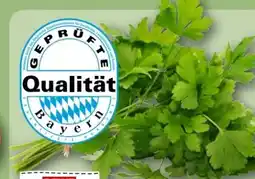 REWE Center Rewe Regional Glatte Petersilie Angebot