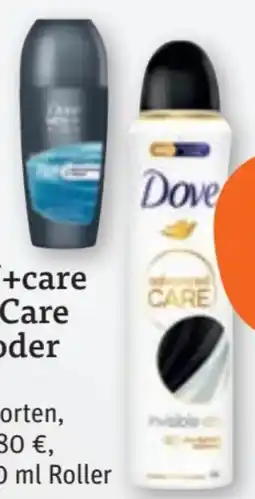 tegut Dove Deo-Roll-On Angebot