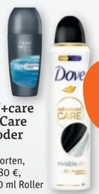 tegut Dove Deo-Roll-On Angebot