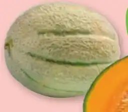 tegut Bio Cantaloupe Melone Angebot