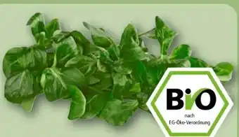 REWE Rewe Bio Feldsalat Angebot