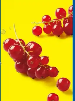 Lidl Johannisbeeren Angebot