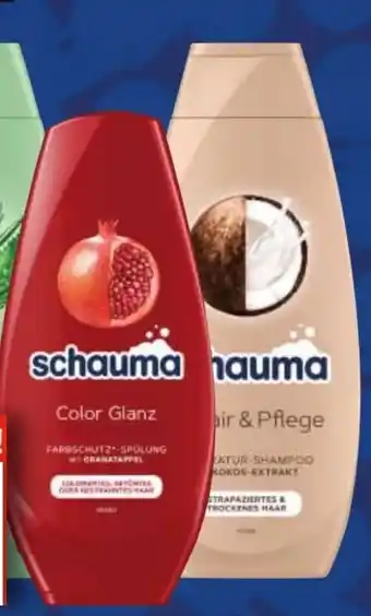 EDEKA Bandelt Schwarzkopf Schauma Shampoo Angebot