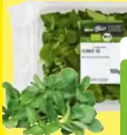 Edeka Frischemarkt Edeka Bio Feldsalat Angebot