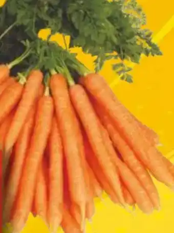 EDEKA Bandelt Bundmöhren Angebot