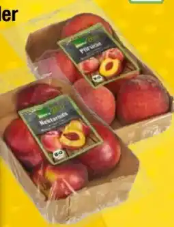 EDEKA Bandelt Edeka Bio Pfirsiche Angebot