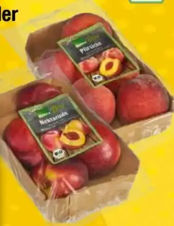 EDEKA Bandelt Edeka Bio Pfirsiche Angebot