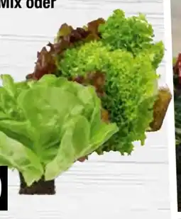 Edeka Edeka Herzstücke Ballensalat Mix Angebot