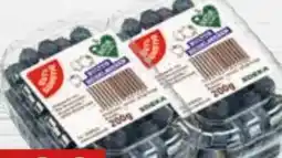 Edeka Gut & Günstig Kulturheidelbeeren Angebot