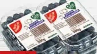 Edeka Gut & Günstig Kulturheidelbeeren Angebot