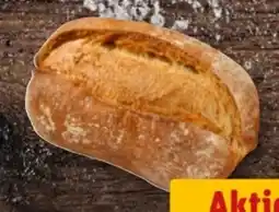 REWE Center Rewe Back-Station Steinofen Meisterbrötchen Angebot
