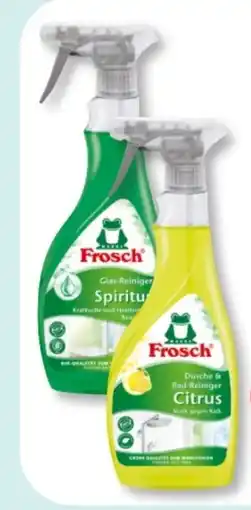 Budni Frosch Glas-Reiniger Angebot