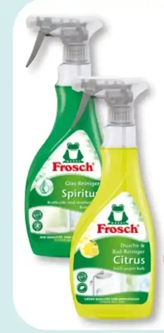 Budni Frosch Glas-Reiniger Angebot