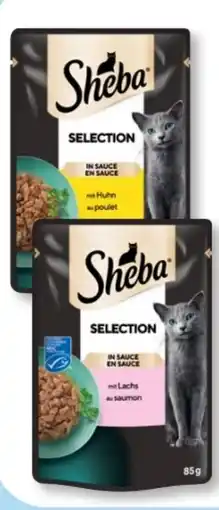 Budni Sheba Katzennahrung Angebot