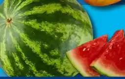 Aldi Süd Wassermelone Angebot