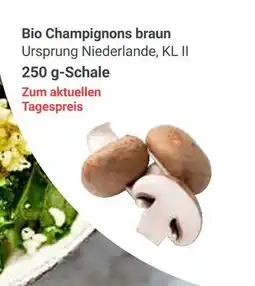Globus Bio champignons braun Angebot