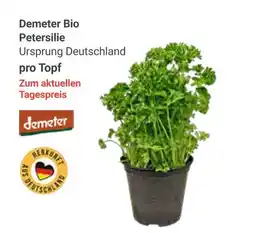 Globus Demeter bio petersilie Angebot