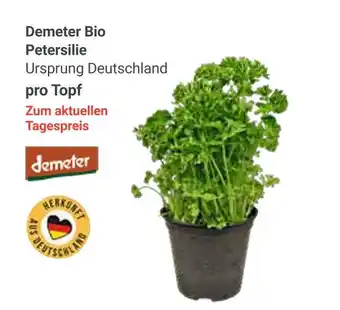 Globus Demeter bio petersilie Angebot