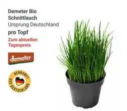 Globus Demeter bio schnittlauch Angebot