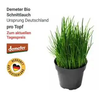 Globus Demeter bio schnittlauch Angebot