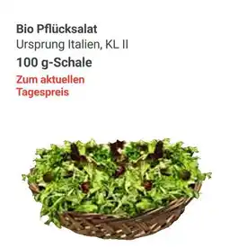 Globus Bio pflücksalat Angebot