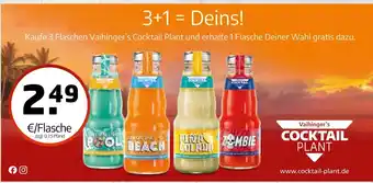 Getränke Quelle Vaihinger’s cocktail plant Angebot