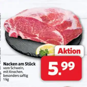 Markant Nacken am stück Angebot