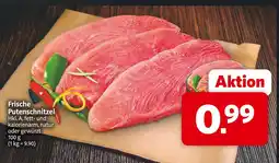 Markant Frische putenschnitzel Angebot