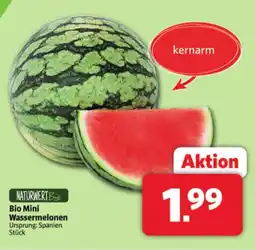 Markant Naturwert bio mini wassermelonen Angebot