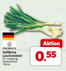 Markant Hofwerte lauchzwiebel Angebot