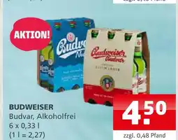 Getränke Quelle Budweiser budweiser Angebot